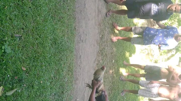 talo