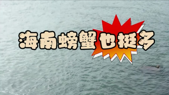 That’s right, I’m the crab-catching master!