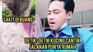 Alhamdulillah Kucing Cantik Sakit Prolaps Di Oprasi Sudah Sembuh Ini Reaksinya Saat Dapat Rumah..!