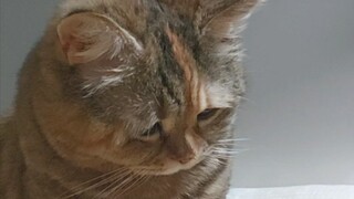 Ibu sudah tidur begitu lama, apakah dia sudah meninggal?
