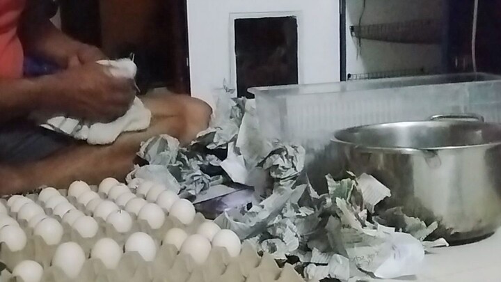 my first time to incubate my own line (unknown kelso)☺️🙏