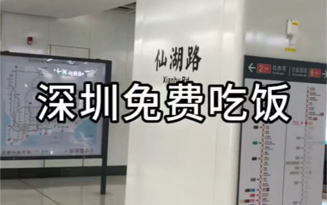 Di mana di Shenzhen kita bisa makan gratis?