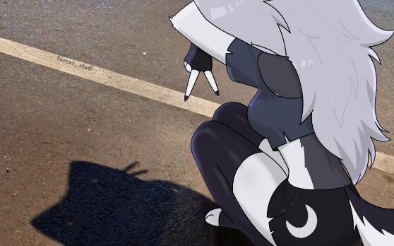 【furry】The increasingly outrageous cat shadow meme