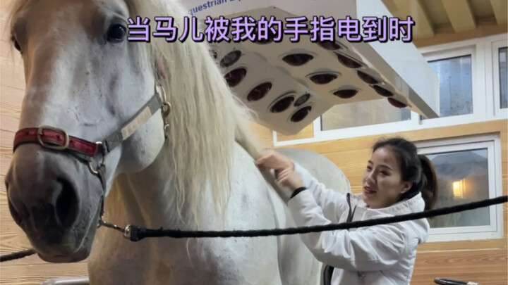 When the horse gets zapped by my finger