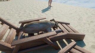 Bruce and I encountered a tsunami while vacationing by the sea