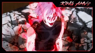 Transformed Licht「AMV」Plunderer - Animal In Me ᴴᴰ