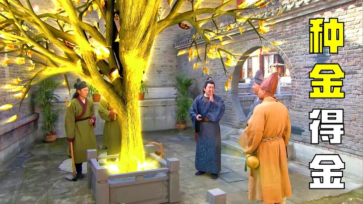 หลวงจีนฝังทองแท่งไว้ในดิน แต่กลับงอกออกมาเป็นต้นไม้ทองคำ คราวนี้รวยแน่แล้ว!