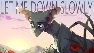Let Me Down Slowly | Complete Crowfeather Weekend MAP (CW: Blood) (Hosted by Draikinator)