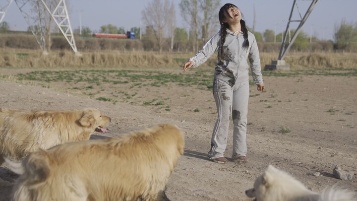 Me and My Big-Misfortune Dogs