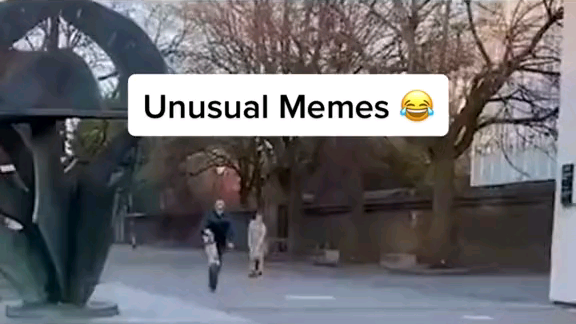 unusual memes