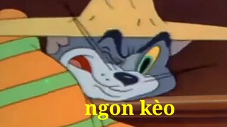 Ảo thật đấy 2 - Tom and jerry chế