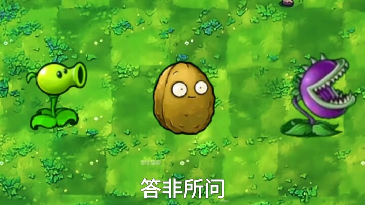 ตอบไม่ตรงคำถาม (PVZ)