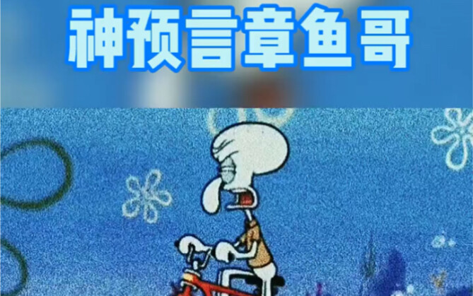 章鱼哥的神预言从来不会让人失望