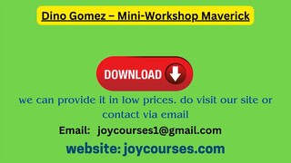 Dino Gomez – Mini-Workshop Maverick