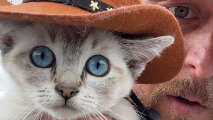 I’ve always loved “Cat Cowboy.”