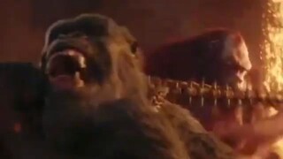 Skar King Vs King Kong Here We Go