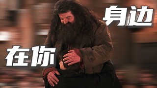 “ 海格，他叩响的不仅是哈利的门  ”