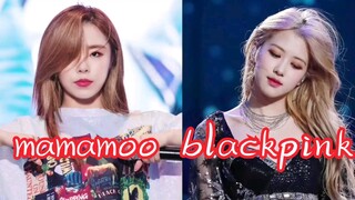 【بلاكبينك × مامامو】 ردود الفعل من الجمهور أثناء أداء الفريق الآخر