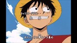 N°117 One Piece