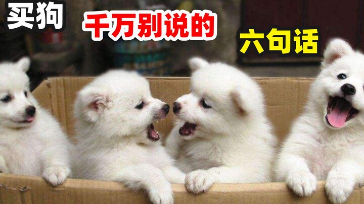 6 Things You Should Never Say When Buying a Pet