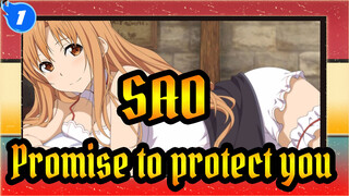 Sword Art Online|When the two swords meet, make a promise to protect you_1