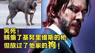 笑死！基努里维斯家里遭贼 大家关心的是有没有丢狗命