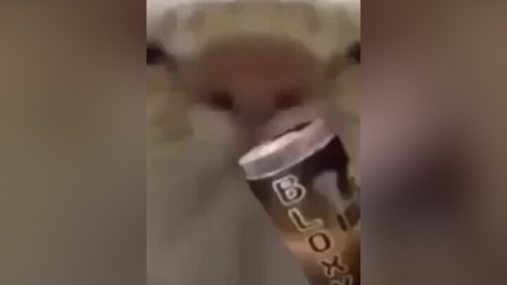 Thế thôi lười rồi=)))nodevideo#team_ak💫#zb_editor#fyp#xh#xh#xh#xh#xh#xh