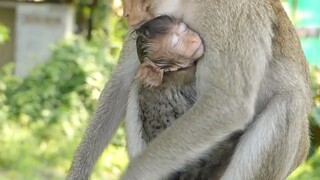 Orphan Lizza So Exhausted Needs New Mom Caca Hug, Thanks Caca For Being Here Care Lizza