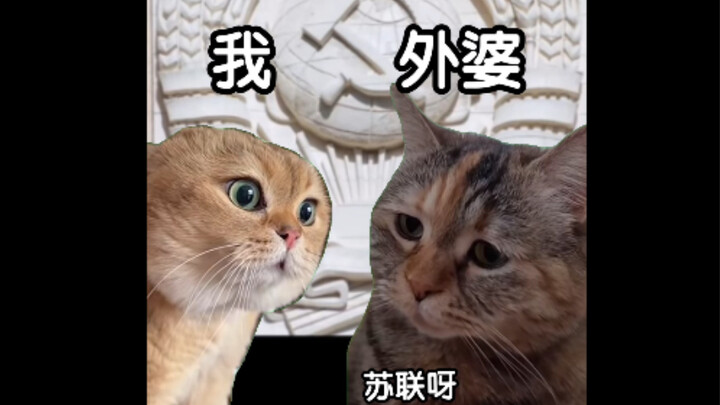 เมื่อฉันถามคุณย่าตอนหนุ่มสาวเคยไปเรียนต่อที่ไหน