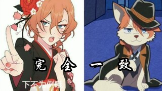 【文豪野犬】功——夫——汪——汪——队——