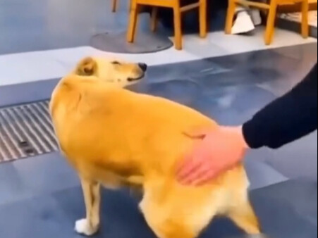 ？？？
