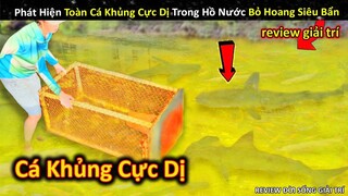 Phát Hiện Toàn Cá Khủng Cực Kỳ Dị Trong Hồ Nước Bỏ Hoang Siêu Bẩn || Review Giải Trí Đời Sống