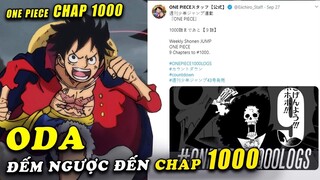 Tác giả ODA tiết lộ mục tiêu , hoàn thành One Piece chap 1000 trong năm 2020 , Brook thành viên số 9