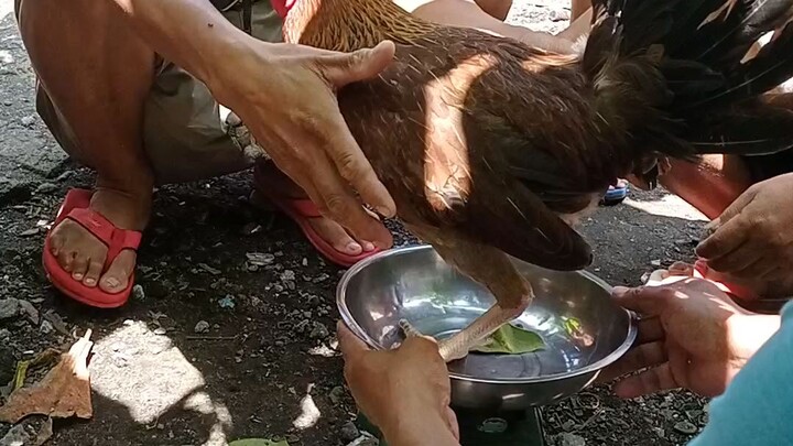 tibang daw para hind lugi nong cock pit harina😋