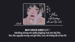 [Vietsub] Hoa cát tường đã nở lại rồi • Chấp Tố Hề ♪ 桔梗花又开了 • 执素兮