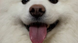 คุณจะให้คะแนนรอยยิ้มนี้เท่าไร?