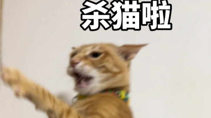 «กลัว» «ไม่ยอม» «ต่อย» «ต่อยไม่ถึง»