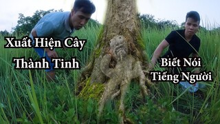 Xuất Hiện Cây Thành Tinh Biết Nhảy Múa Dọa Người ở bãi cỏ lau