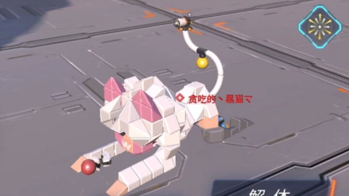 Cute Newbie Being Cute