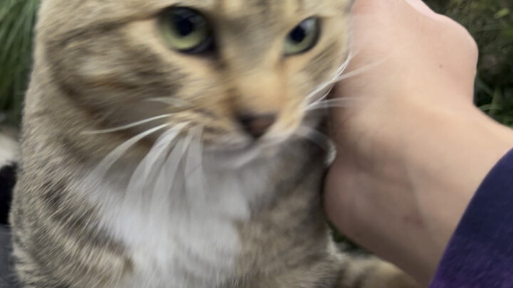 Berani sekali! Berani menyentuh pantatku?