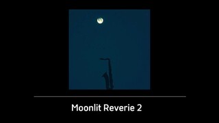 Moonlit Reverie 2
