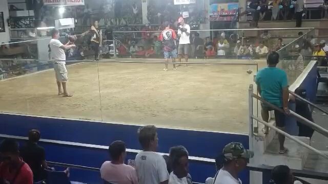 myOwn breed lemonx kelso WIN ...WALA SIDE