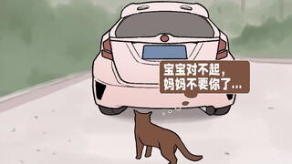 小猫：我妈妈是流浪猫，它什么也给不了我，却又什么都给了我....