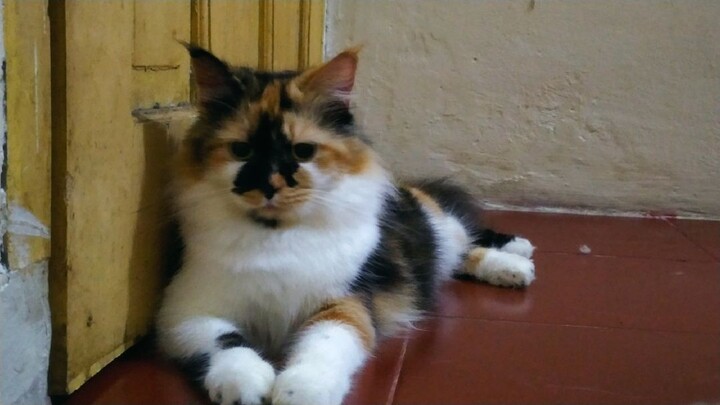 Quanzhi Fashi S1 E09