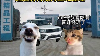 "A trash can might occasionally contain roses, but it will never have carnations."