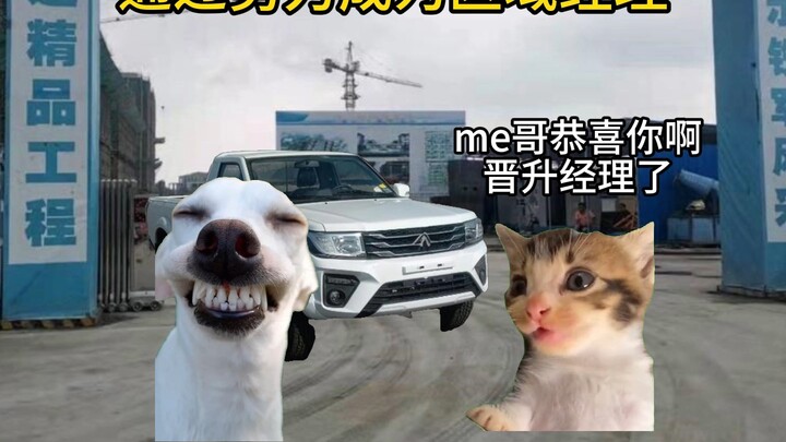 "A trash can might occasionally contain roses, but it will never have carnations."