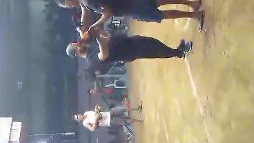 bulik babalik ( MY 9 MONTHS OLD DOME X PERUVIAN) pangalawang panalo mo na yan!