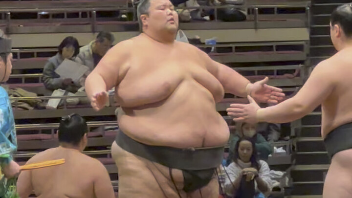 Petarung sumo terberat di Jepang, Dewa no Shiro