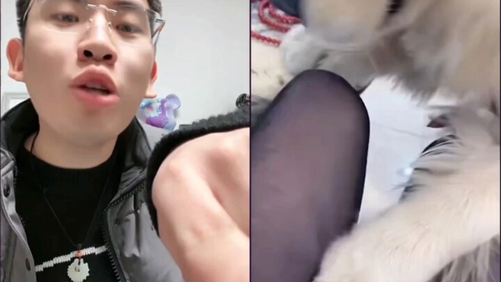 ฟังธารน้ำ ฟังเจ้าหมา ทำไมถึงหัวร้อนใส่เพื่อนซี้ตัวเองได้ล่ะ?