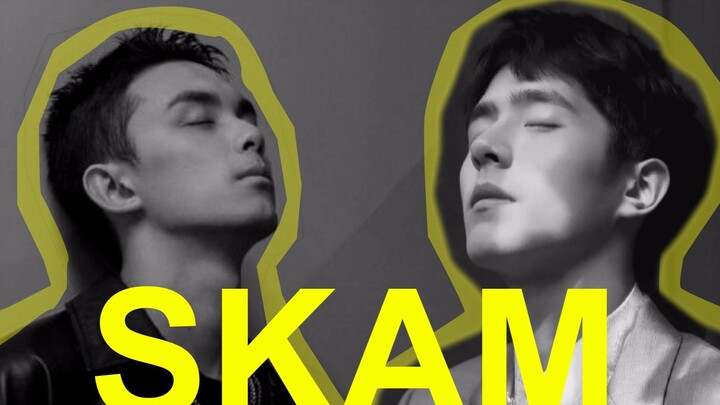 【Haolei】【Liu Haoran×Wu Lei】Sweet|If there is a Chinese version of SKAM